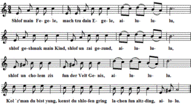 Shlof main Fegele, Noten