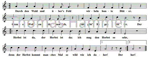 durch-den-wald, Noten