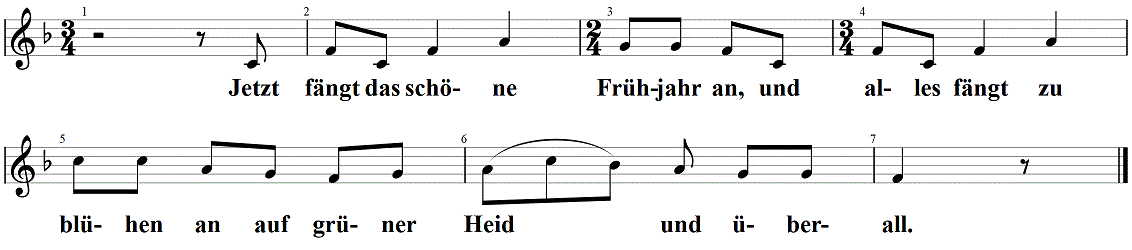 jetzt-faengt-das-schoene-fruehjahr-an, Noten