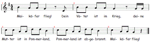 maikaefer-flieg, Noten