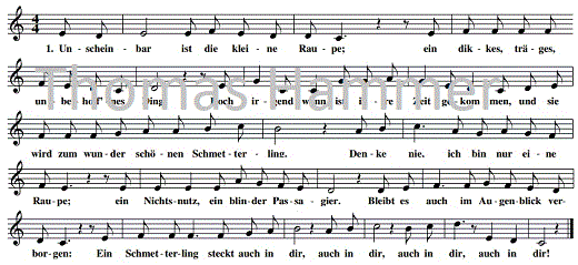 schmetterling, Noten